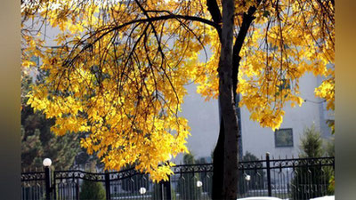 'Bugun O`zbekistonda ob-havo qanday bo`lishi ma`lum qilindi'ning rasmi