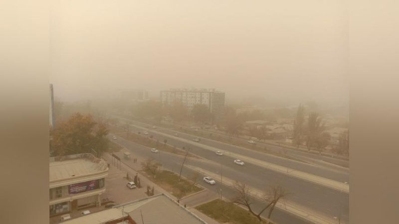 'Пала партиш шаҳарсозлик, дарахтлар кесилиши, сув ҳавзаларининг йўқ қилиниши... Эко фаол чанг ғубор ҳақидаги хулосаларини айтди'ning rasmi