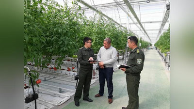 'Bojxonachilar eksportyorlarga yaqindan ko`mak ko`rsatishmoqda'ning rasmi