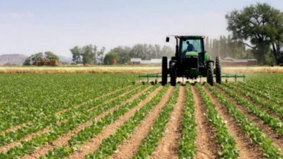 'Томорқадан унумли фойдаланмаган 3 баробар кўп солиқ тўлайди'ning rasmi