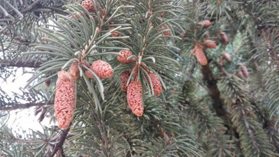 Изрображение 'Прогноз погоды на 6 ноября'