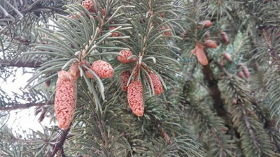 Изрображение 'КАКАЯ ПОГОДА НАС ОЖИДАЕТ 21 ОКТЯБРЯ?'