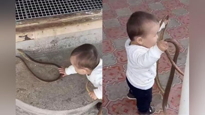 'Ohangaronda otaning yosh bolasiga tirik ilonlarni o`ynashga undayotgani aks etgan video tarqaldi (video)'ning rasmi