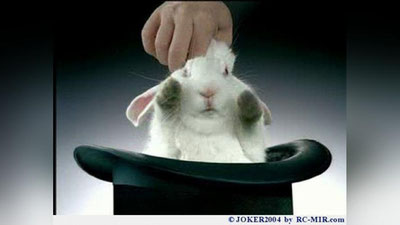 'Фокусчи 28 йилдан кейин қуёнга аллергияси борлигини билди'ning rasmi