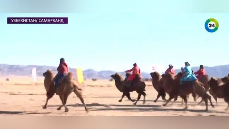 Изрображение 'ТЕЛЕКАНАЛ "МИР" ОБ АГРО- И ГАСТРОНОМИЧЕСКОМ ТУРИЗМЕ В УЗБЕКИСТАНЕ (ВИДЕО)'