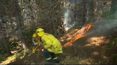 'Yangi Zelandiyada o`rmon yong`inlari avj olmoqda 'ning rasmi