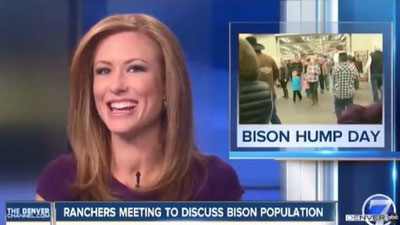 'Бизонлар ҳақида гапираётган телебошловчи ўзини кулгидан тўхтата олмади 'ning rasmi