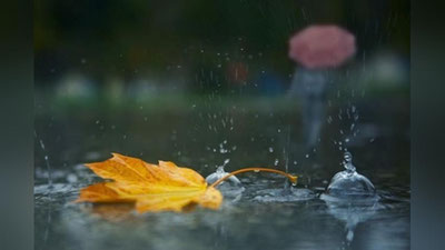 Изрображение 'Дождь, временами сильный: погода на 22 ноября'