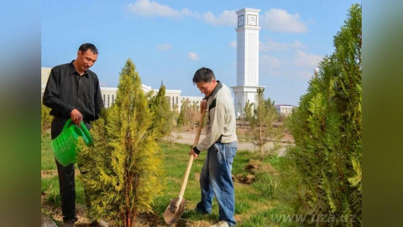 Изрображение 'В УЗБЕКИСТАНЕ НАЧАЛСЯ ВСЕНАРОДНЫЙ ХАШАР'
