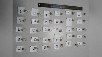 'Bojxonachilar “tilla” taqinchoqlarni noqonuniy olib chiqilishiga yo`l qo`yishmadi  'ning rasmi