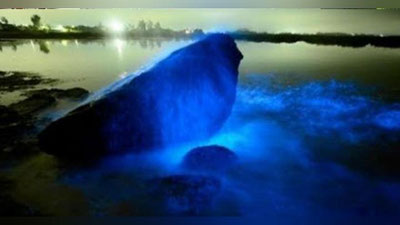 'Kaliforniyada nur sochayotgan ummon suratga olindi (Video)'ning rasmi