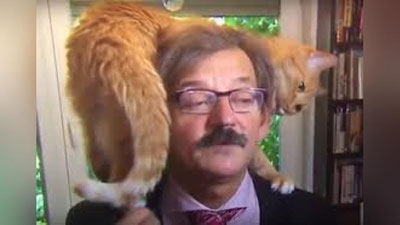 'Mushuk intervyuning beliga tepdi (Video)'ning rasmi