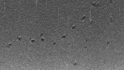 'Tinch okeani qa`ridan sirli izlar topildi'ning rasmi