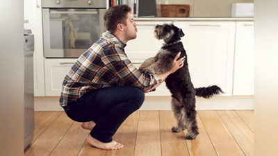 'Itlarning xarakteri ularning xo`jayinlari ifodasidir 'ning rasmi