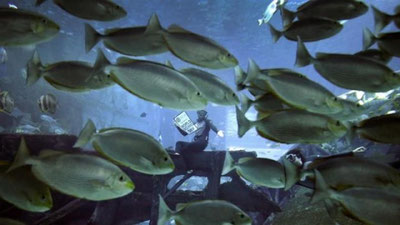 'Okean muzlarining erishi 2018 yilda rekord darajani qayd etdi'ning rasmi