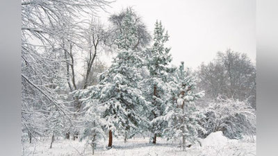 'Бугундан Ўзбекистон ҳудудига шимолдан совуқ ҳаво массалари кириб келади'ning rasmi