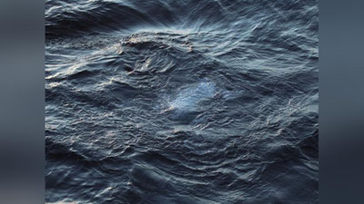 Изрображение 'УЧЕНЫЕ ВЫЯСНИЛИ, КТО ОСТАНЕТСЯ ЖИТЬ ПОСЛЕ АПОКАЛИПСИСА'