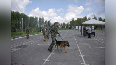 '“Xizmat itlari-2019” milliy ko`rgazmasi bo`lib o`tdi'ning rasmi