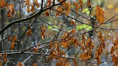 Изрображение 'УЗБЕКИСТАНЦЕВ 23 НОЯБРЯ ЖДЕТ ДОЖДЛИВАЯ ПОГОДА'