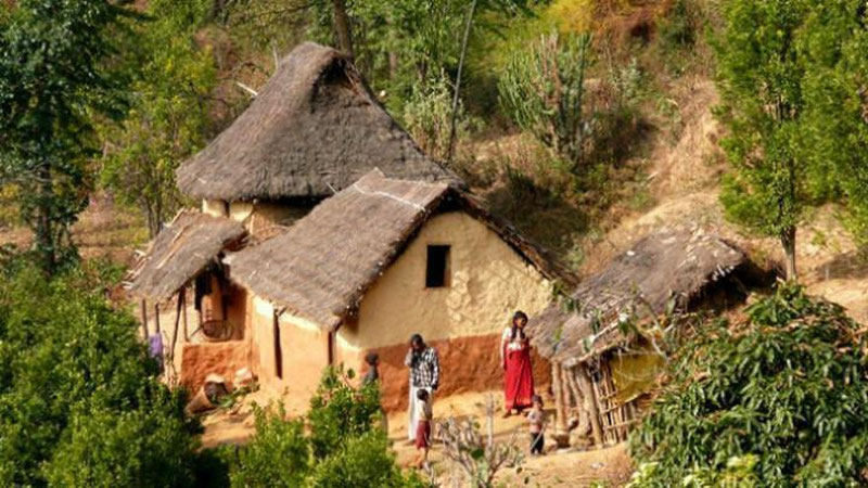 'Sayohatchilar Chikungunya bezgagi epidemiyasidan ogohlantirildi'ning rasmi