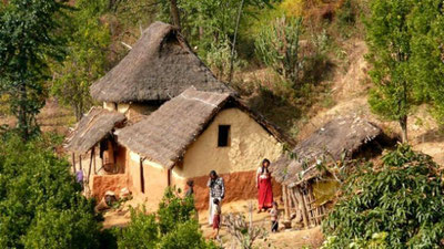 'Sayohatchilar Chikungunya bezgagi epidemiyasidan ogohlantirildi'ning rasmi