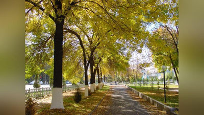 '12 oktyabr kuni kutilayotgan ob-havo ma`lumoti'ning rasmi