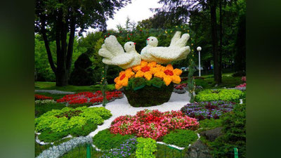 Изрображение 'НАМАНГАН СТАНЕТ ЦЕНТРОМ ЦВЕТОВОДСТВА'