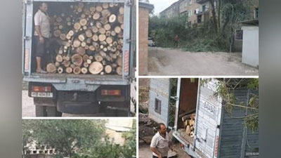 Изрображение 'Вырубка деревьев в Ахангаране: Госкомэкологии не нашел нарушений'