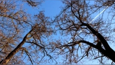 Изрображение 'ПРОГНОЗ СИНОПТИКОВ НА 21 ФЕВРАЛЯ'