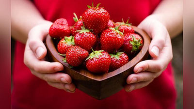 'Қулупнай мавсумини очиқ деб эълон қиламиз!'ning rasmi