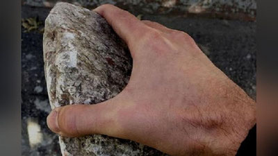 'Toshkentda 6 yil avvalgi jinoyat fotorobot yordamida fosh qilindi'ning rasmi