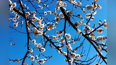 'Bugundan O`zbekistonda ob-havo o`zgaradi'ning rasmi