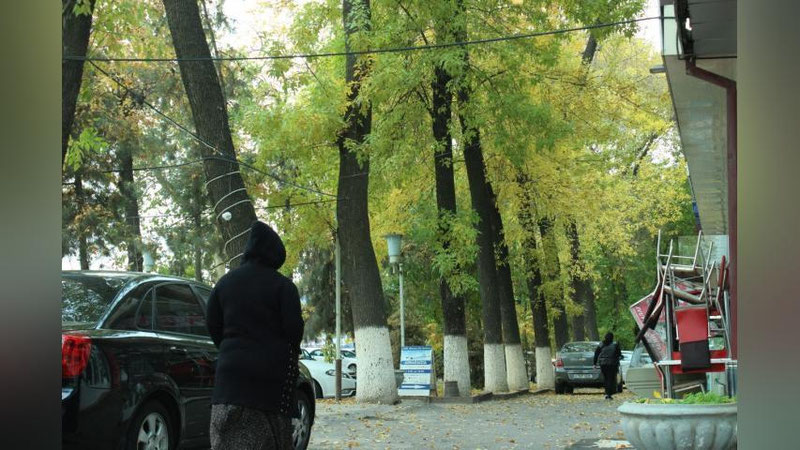 'Salqin ob-havo bo`lishi kutilmoqda - "O`zgidromet"'ning rasmi