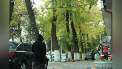 'Salqin ob-havo bo`lishi kutilmoqda - "O`zgidromet"'ning rasmi