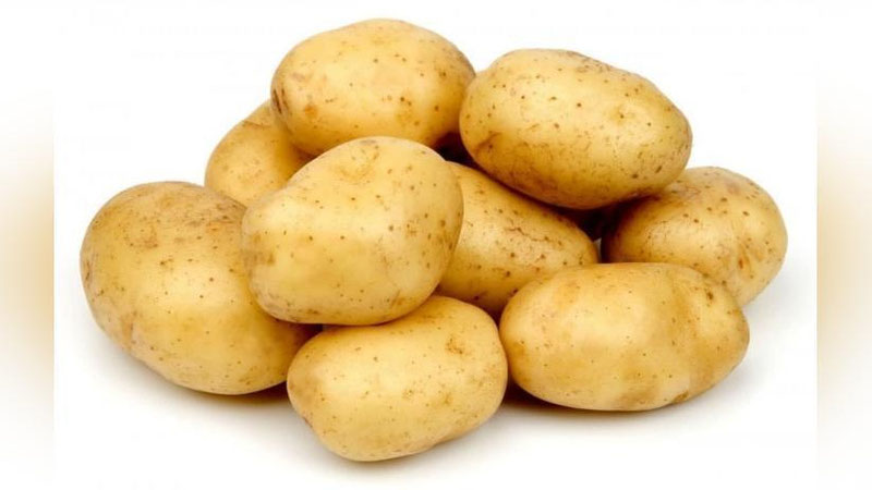 'Картошка импорти қарийб 103 минг тоннага ошган'ning rasmi