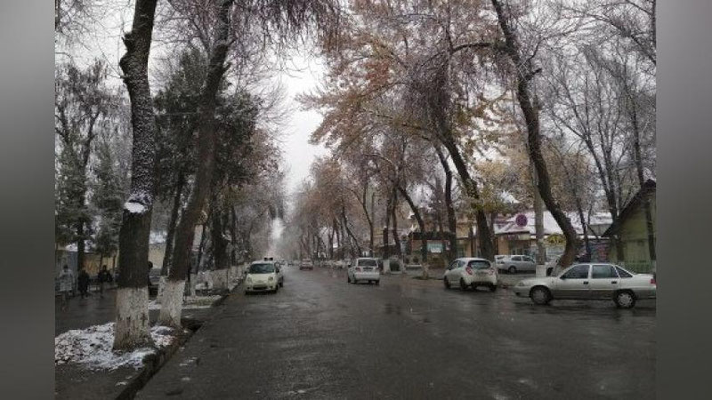 '"Кам булутли ҳаво бўлади" — "Ўзгидромет" бугун кузатиладиган об-ҳаво ҳақида маълумот берди'ning rasmi