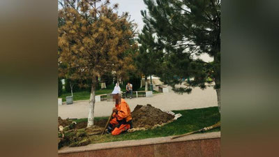 'Toshkentdagi sirk favvoralari oldiga daraxtlar tuvagi bilan ekilgani fosh bo`ldi'ning rasmi