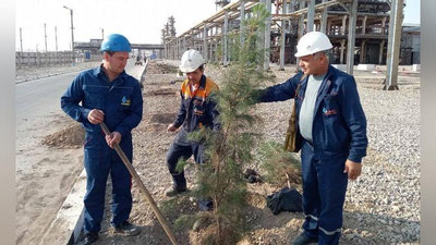 Изрображение '«Узбекнефтегаз»: в текущем сезоне в рамках общенационального проекта «Зелёное пространство» высажено 20 тысяч саженцев деревьев и кустарников'