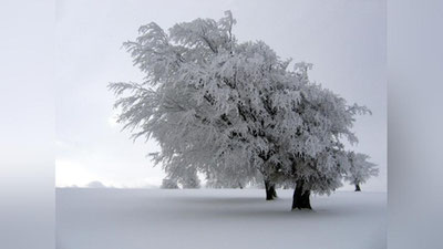 'O`zbekistonda 10-13 dekabr kunlari havo harorati keskin soviydi. Ayrim hududlarda -24 darajagacha tushishi mumkin'ning rasmi