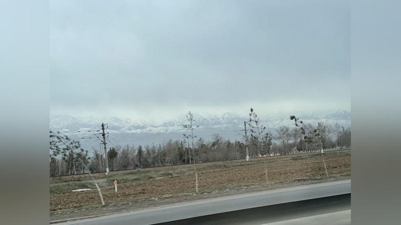 'Ertaga havo 22 darajagacha ilishi kutilmoqda'ning rasmi