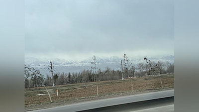 'Ertaga havo 22 darajagacha ilishi kutilmoqda'ning rasmi