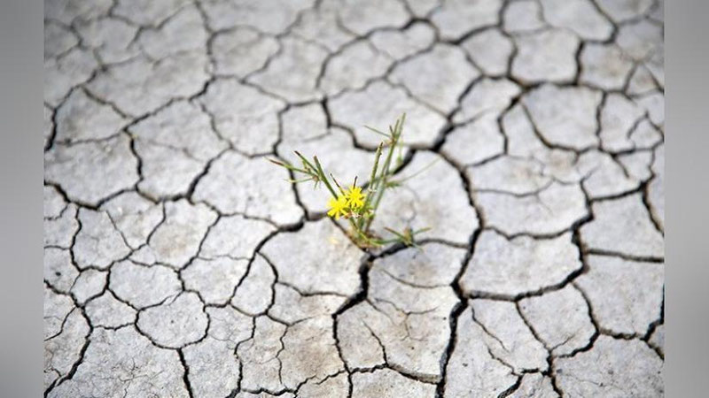 'Turkiyani yana bir muammo kutmoqda'ning rasmi