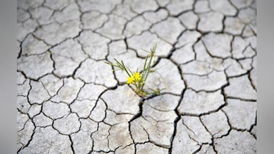 'Turkiyani yana bir muammo kutmoqda'ning rasmi