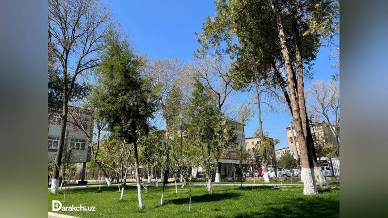 'Bugun havo harorati sezilarli darajada ko`tariladi'ning rasmi