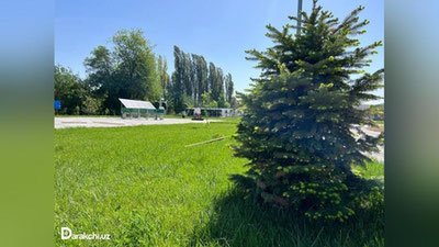 'Bugun havo harorati 30 darajagacha ko`tariladi'ning rasmi