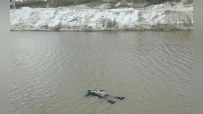 'Baxmalda bedarak yo`qolgan 6 yoshli bolaning jasadi kanaldan topildi'ning rasmi