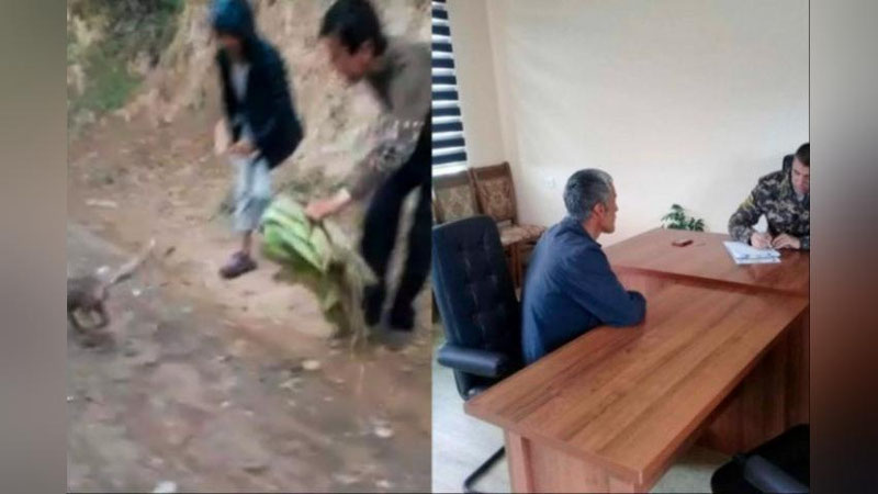 'Jizzaxda tulkini tutqunlikda saqlagan shaxs jarimaga tortildi'ning rasmi
