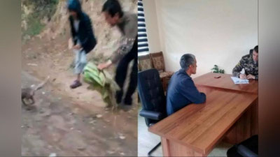 'Jizzaxda tulkini tutqunlikda saqlagan shaxs jarimaga tortildi'ning rasmi
