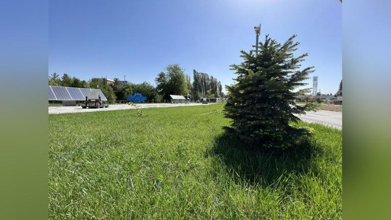 'Bugun harorat 41 darajagacha ko`tariladi'ning rasmi