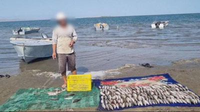 'Jizzaxda noqonuniy baliq ovlash natijasida tabiatga qariyb 60 mln zarar etkazilgani aniqlandi'ning rasmi
